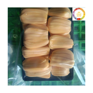 Frozen Jackfruit Vietnam Factory | IQF Yellow Sweet Seedless | Bulk Wholesale Competitive Price - Product Image 6
