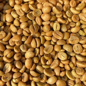 Granos de Café Robusta con Sabor Neutro a Miel, Café Robusta y Arábica en Grano, Pureza del 95 al 99%, Bolsas a Granel de Alta Calidad - Product Image 4