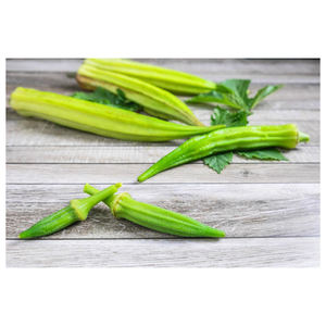 Okra fresca, okra congelada, verdura verde, okra de dedo, precio, suministro a granel, estilo, peso, origen, tipo, en venta - Product Image 4