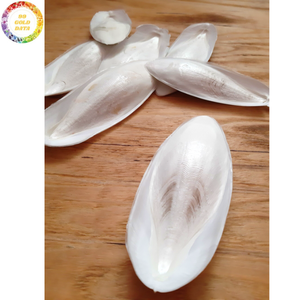 Os de Seiche Séché et Frit sous Vide de Qualité Supérieure, Friandise Naturelle à Mâcher pour Oiseaux : Perroquet, Budgie, Pinson, Canaris, Volière – Fournitures pour Animaux de Compagnie - Product Image 4