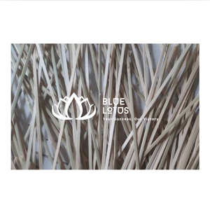 ไม้ไผ่ธรรมชาติคุณภาพพรีเมียม ขนาด 50 ซม. เส้นผ่านศูนย์กลาง 5-6 มม. ผ่าด้วยมือ ตากแดดแล้ว สำหรับทำโครงว่าวปากีสถาน วัสดุก่อสร้าง ส่งออก - Product Image 1