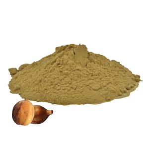 Export Quality 100% Pure Baheda Fruit Powder Health Food Grade Baheda Powder Bulk Supply Helps Support Natural Digestion Balance - Product Image 2