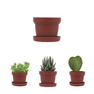 Pot de plante succulente d'intérieur 1 pouce en plastique PP pour bureau, vente en gros, directement de l'usine, certification ISO9001 - Product Image 3