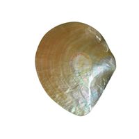 Plateau en nacre dorée, fait main, écologique, en coquillage naturel, pour servir des desserts, du thé, taille 9-11 cm, diverses couleurs
