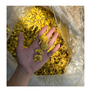 Fleurs de camomille séchées du Vietnam pour la préparation de tisanes, infusion naturelle de fleurs, fournisseur en gros pour importateurs et détaillants - Product Image 4