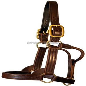Halter en cuir rembourré marron triple couture robuste dans toutes les tailles et couleurs personnalisées avec quincaillerie en laiton réglable - Product Image 2
