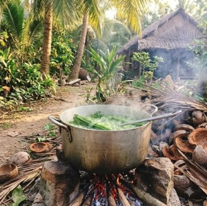 Nata de Coco aromatisée au Pandan, prête à consommer, végane et sûre, export Vietnam, prix compétitif, livraison mondiale, OEM ODM - Product Image 5