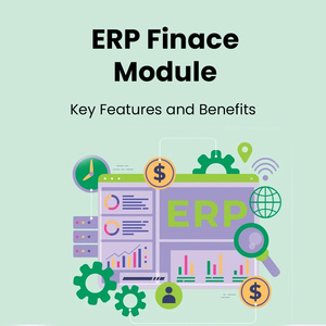 Programación y Desarrollo ERP SaaS, Software Modular MVP para Datos y Análisis en Tiempo Real, Software SaaS - Product Image 1