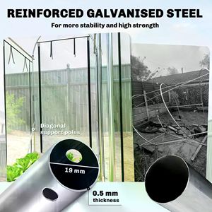 Piccola serra da interno, tipo walk-in, con telaio in acciaio/plastica/legno e vetro temperato per la crescita delle piante da interno e da giardino. - Product Image 2