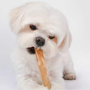 Jouets à mâcher pour chiens en bois de café naturel Produits PET écologiques du Vietnam pour chats emballés dans un sac-Caryln 0084935825297 - Product Image 2