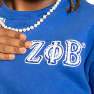Sweat-shirt Zeta Phi Beta en chenille bleu pour femme, avec motif au dos, lettres grecques brodées, col rond, haut décontracté de qualité supérieure - Product Image 6