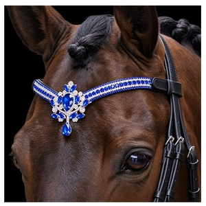 Elegante cejuela de cuero para caballo con detalles de pedrería, diseño acolchado, cabezada ecuestre ajustable para montar. - Product Image 1