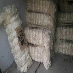 Fibre de sisal naturelle à fibres longues, idéale pour la fabrication de cordes, brosses, rembourrages et matériaux artisanaux, exportation en vrac aujourd'hui. - Product Image 2