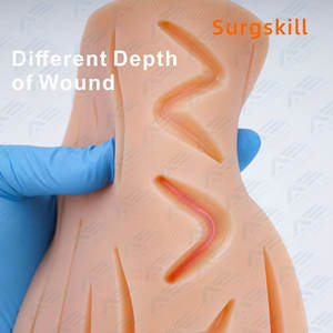 Étudiants en médecine Kit de pratique de suture pour les étudiants en médecine Tampon en silicone Chirurgie Plaies Instruments chirurgicaux Instruments médicaux - Product Image 2