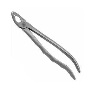 ARISTON INTERNATIONAL - Pinzas Dentales Pediátricas Manuales de Alta Calidad para Extracción con Excelente Fuente de Alimentación, en Venta - Product Image 6