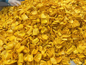 Golden Dried Jackfruit Crispy Snack Premium Quality Bulk Supply Private Label Vietnam Factory Export - Product Image 4