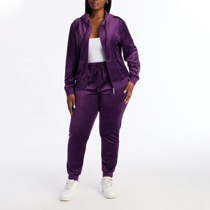Premium Quality <b>Women's</b> Purple <b>Velvet</b> Tracksuit Set Hooded Zipper Jacket <b>Jogger</b> Pants Two Piece Casual Matching Velour <b>Women</b> Set - Product Image 1