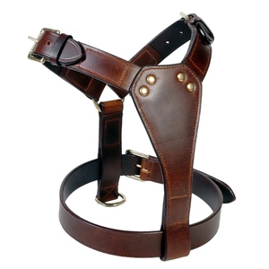 Harnais pour chien classique réglable en cuir avec des boucles métalliques robustes et un anneau de laisse sécurisé pour des promenades quotidiennes confortables - Product Image 6