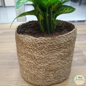 Macetas de algodón de ganchillo de color personalizado, estilo moderno para interiores, maceteros de algodón de ganchillo hechos a mano - Product Image 3