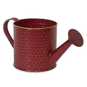 Arrosoir en métal rouge texturé martelé pour le jardinage – Équipement de jardinage exceptionnel au prix le plus bas - Product Image 5