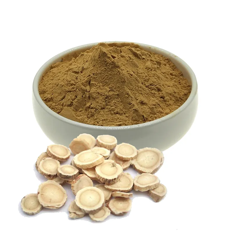 Bulk Natural Astragalus Extract Powder Directly from the Manufacturer