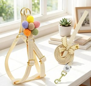 Comfort Grip <b>Dog</b> <b>Leash</b> for Happy Walks - Product Image 1