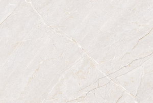 กระเบื้องปูพื้นและผนังพอร์ซเลนโมเดิร์นฟีนิกซ์บิอันโก้ ผิวด้าน ทนกรด สำหรับตกแต่งภายใน วิลล่า โรงพยาบาล ขนาด 60x120 ซม. - Product Image 3