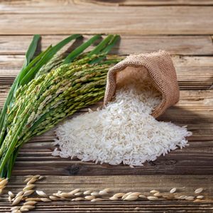 Arroz Blanco Jazmín Orgánico SEPON ST25, Bolsa de 5 kg, Exportación, Grano Largo, Textura Dura, Certificado ISO, 5% de Grano Partido, Origen Vietnam, 1 Año - Product Image 3