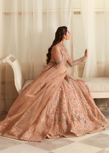 Robe de mariée pakistanaise sur mesure pour femmes musulmanes, avec broderie et imprimé, robe pakistanaise pour occasions spéciales - Product Image 4