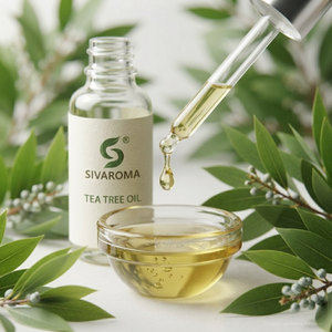 Huile essentielle d'arbre à thé pour formules de soins personnels haut de gamme, produits parfumés, savons et applications de fabrication sous contrat - Product Image 4