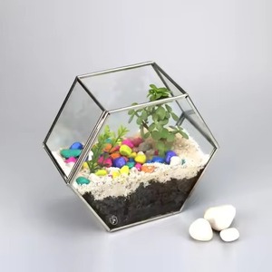 Terrario Metálico Contemporáneo para Jardín Interior, Macetero de Vidrio, Elegante Caja de Exhibición Geométrica, Decoración para el Hogar - Product Image 3