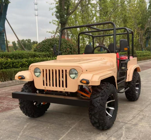 Vehículo Utilitario Eléctrico UTV 4X4 de 3000W, Alta Calidad, Multifuncional, con Transmisión Automática, Certificado EEC, en Oferta, 2025 - Product Image 2