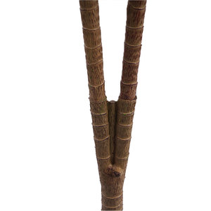 Fournisseur en gros de plantes artificielles en plastique vert Sansevieria H185cm, écologiques, pour l'intérieur, l'extérieur, le balcon, le <span class=keywords><strong>jardin</strong></span> - Product Image 4