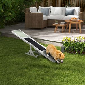 Altalena in Legno Bianco per Addestramento e Esercizio Cani - Product Image 2