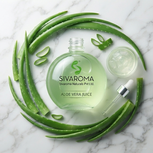 Jus d'aloe vera 100% pur, pressé à froid, naturel, en gros, provenant de feuilles d'aloe vera, ingrédient pour les boissons, les cosmétiques, les produits de bien-être - Product Image 1