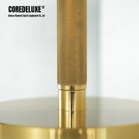 Coredeluxe Chrome Enduit Fonte Haltère Doré Haltère Ensemble Sports Gym Équipement