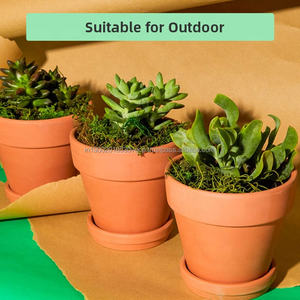 Pot pour plantes d'intérieur en argile terre cuite Pot respirant écologique pour cactus et plantes succulentes Pots de 2 à 10 pouces - Product Image 3