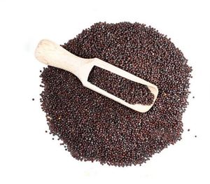 Graines de moutarde brune aromatiques de qualité supérieure pour des préparations culinaires savoureuses au meilleur prix auprès du fournisseur Graines de moutarde noire - Product Image 3
