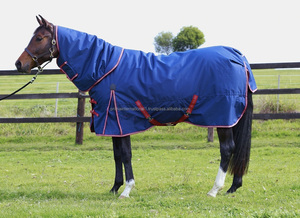 1680D Tough Winter Horse Alfombras con cuello desmontable 100gm Mantas impermeables para exteriores con forro de nylon - Product Image 2