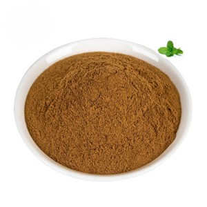 Extracto de Hoja de Menta Prima Premium en Polvo 10:1, Extracto Herbal Natural de Mentha Piperita para Té Herbal y Bienestar Digestivo - Product Image 3