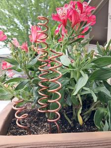 Varilla de cobre duradera para electrocultivo en jardín, para plantas saludables y mejora de la vitalidad del suelo, de fabricante y proveedor indio. - Product Image 5