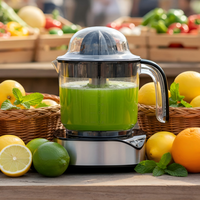 Presse-agrumes SHANGKAI, presse-agrumes à vente chaude, machine à extraire le jus, base en acier inoxydable, récipient à jus d'orange en PP, cuisine