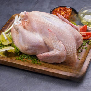 Poitrine de poulet halal congelée, sans os, sans peau, viande de volaille fraîche de ferme, traitement hygiénique, qualité supérieure, marché d'exportation - Product Image 4