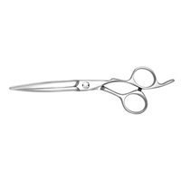 Ciseaux de coiffure professionnels 6 pouces en acier inoxydable 440C à bord rasoir pour salon de coiffure et usage professionnel