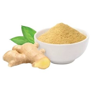 Poudre de gingembre naturelle pure déshydratée, assaisonnement de qualité supérieure au prix de gros en provenance d'Inde - Product Image 1