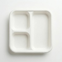 Assiette jetable carrée en bagasse écologique de 10 pouces à 3 compartiments, biodégradable et compostable, pour les fêtes