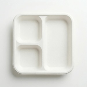 Assiette jetable carrée en bagasse écologique de 10 pouces à 3 compartiments, biodégradable et compostable, pour les fêtes - Product Image 4