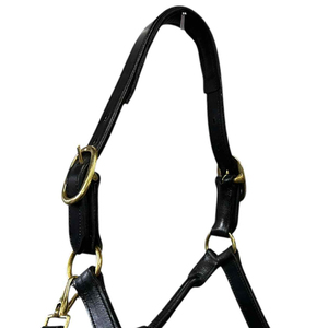 Cabestro Ajustable de Alta Calidad para Caballos, Collar de Cuero Personalizado para Carreras, Productos Ecuestres, Precio Económico, Mejores Exportaciones - Product Image 2