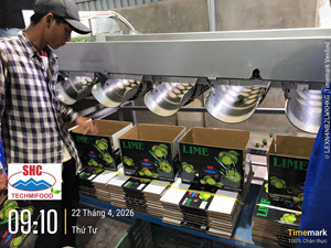 มะนาวเวียดนามไร้เมล็ดสดใหม่ – สีเขียวสดใส ฉ่ำและมีกลิ่นหอม สำหรับตลาดโลก - Product Image 1