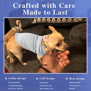 Custom Color Pet Clothes Summer Dog <b>T</b>-Shirt Soft High Quality Cotton Puppy Vest Comfortable <b>Cat</b> Apparel Blank Plain <b>T</b>-Shirt - Product Image 6
